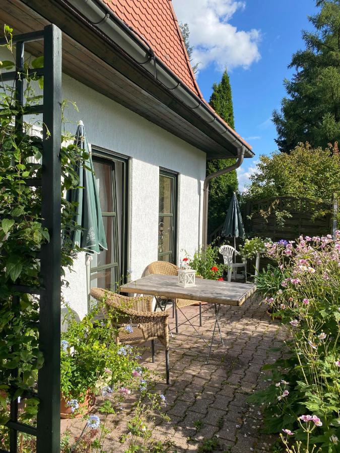 Ferienwohnungen Elsterblick 巴特埃尔斯特 外观 照片