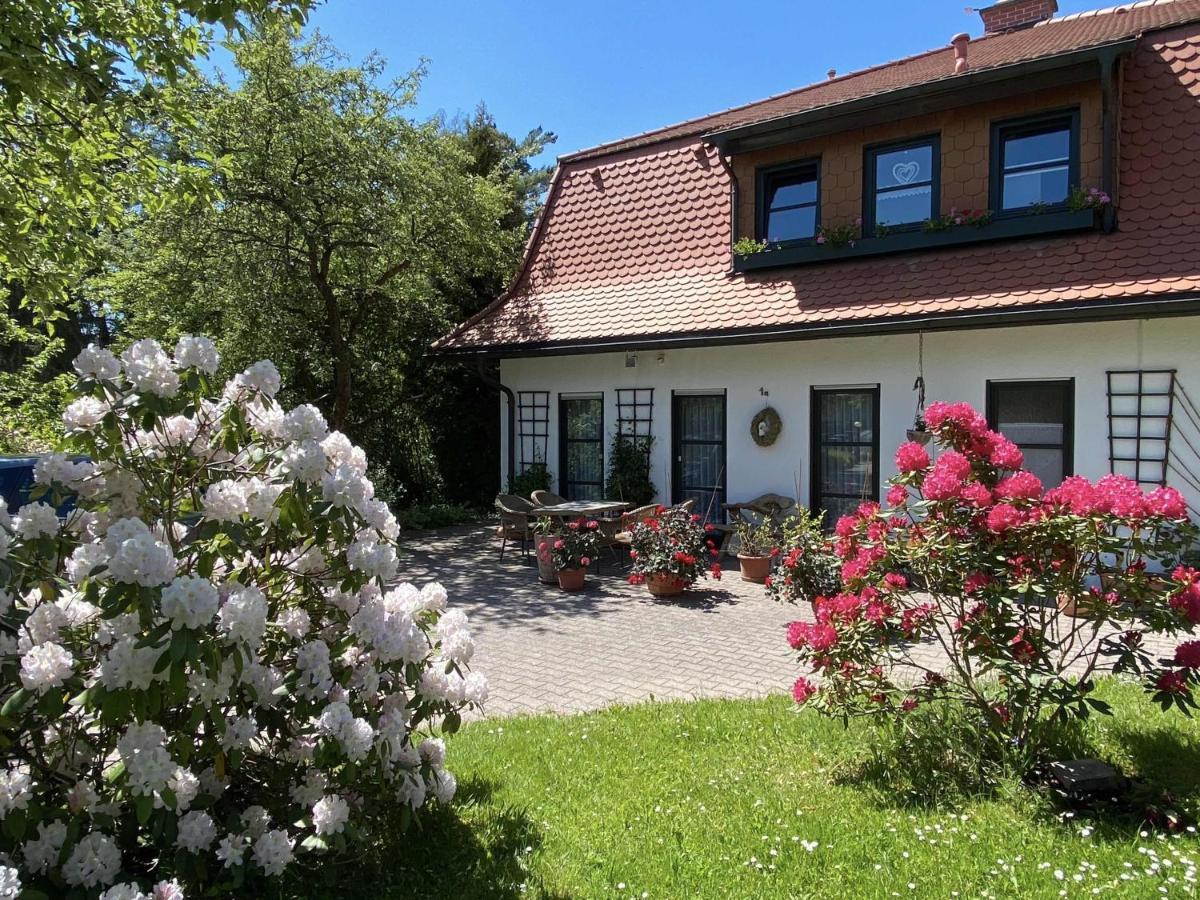 Ferienwohnungen Elsterblick 巴特埃尔斯特 外观 照片