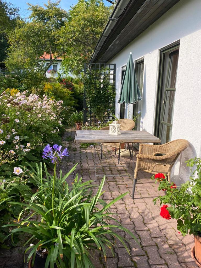 Ferienwohnungen Elsterblick 巴特埃尔斯特 外观 照片