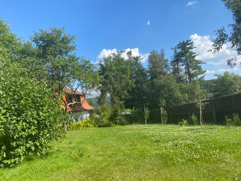 Ferienwohnungen Elsterblick 巴特埃尔斯特 外观 照片