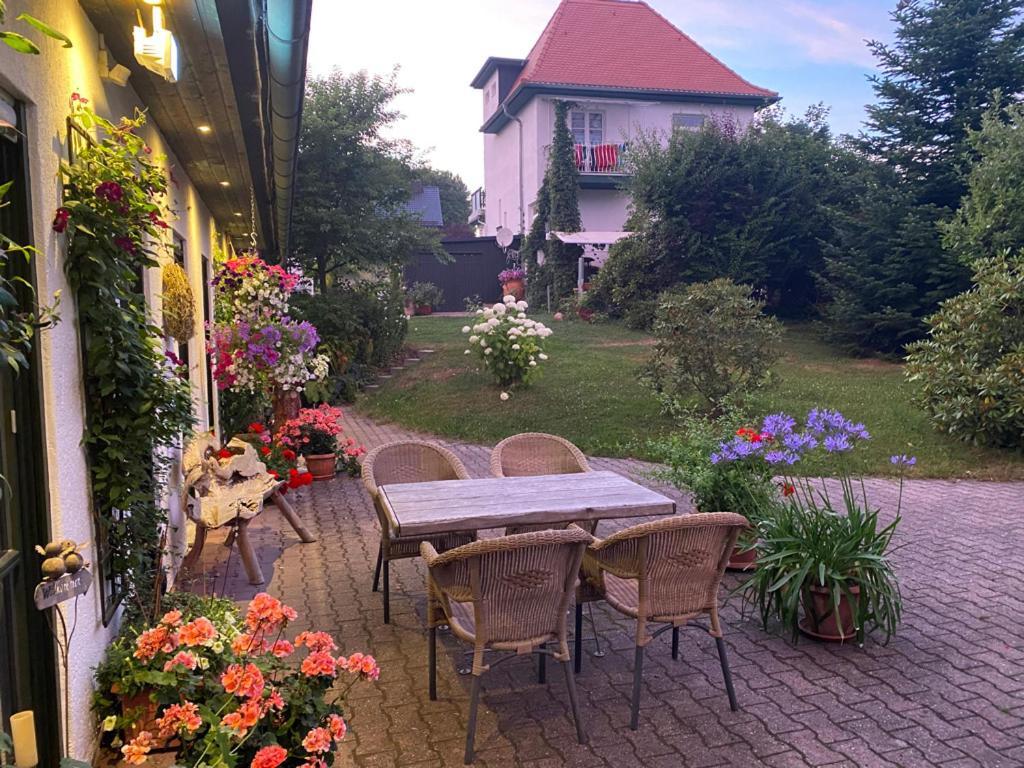 Ferienwohnungen Elsterblick 巴特埃尔斯特 外观 照片