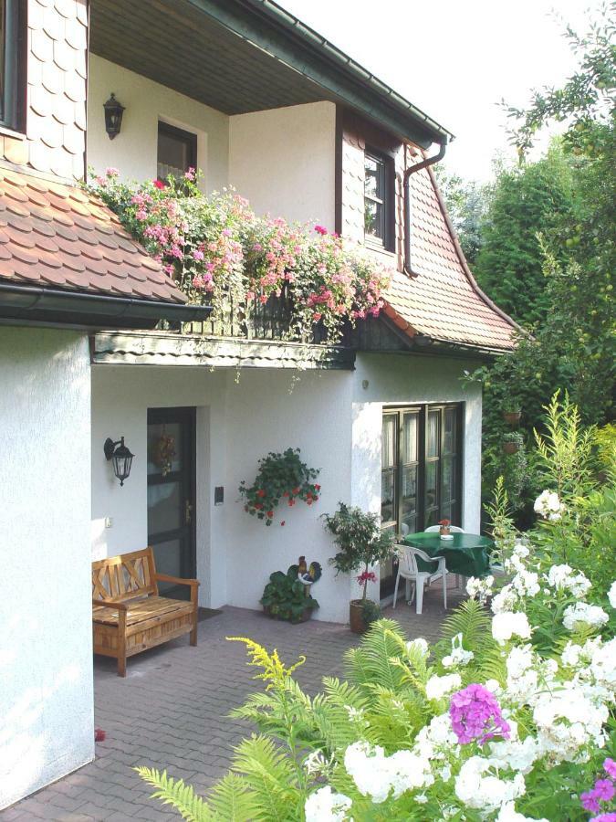 Ferienwohnungen Elsterblick 巴特埃尔斯特 外观 照片